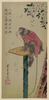 Monkey On A Leash And Cherry Blossoms. Image