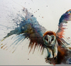 Owl Paintings Watercolor Image