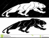 Cougar Clipart Image