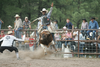 Rodeo Bull Riding Image