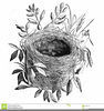 Birds Nest Clipart Image