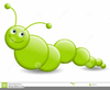Clipart Images Of Worms Image