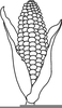 Corn On The Cob Clipart Image