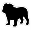 Bulldog Clipart Pictures Image