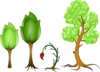 Various Trees Clip Art