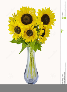 Clipart Pictures Of Sunflowers Image