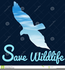 Free Wild Life Clipart Image