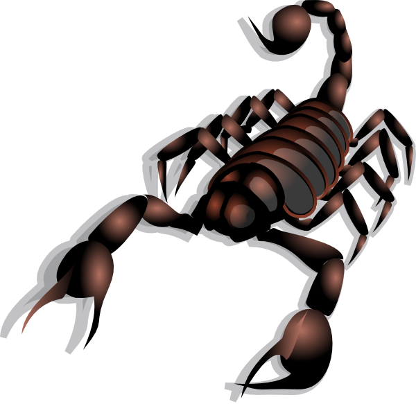 Scorpion Clip Art at Clker.com - vector clip art online, royalty free
