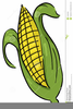 Ears Of Corn Clipart Image