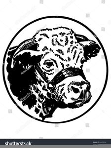 Free Vintage Cow Clipart Image