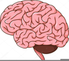 Brain Animated Clipart Image