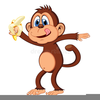 Monkey Clipart Scratching Image