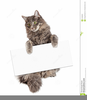 Cat Animation Clipart Image