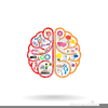 Right Brain Left Brain Clipart Image