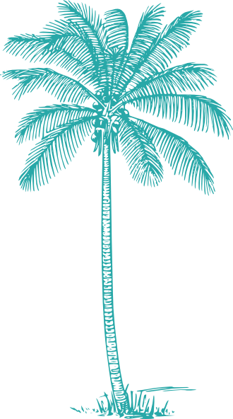 Coconut-palm-tree Teal Clip Art at Clker.com - vector clip art online