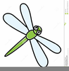 Dragonfly Animated Clipart Image