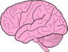 Brain Clip Art