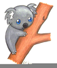 Fre Bear Clipart Image