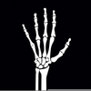 Clipart Skeleton Hand Image