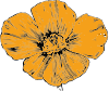 California Poppy Clip Art