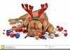 Merry Christmas Dog Clipart Image