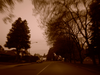 Neighbourhood Street In South Richmond Sepia Image