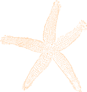 Single Starfish Orange Clip Art