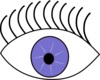 Blue Eye Looks Left Clip Art