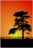 Cedar Tree Clip Art