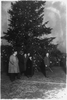 President Coolidge Illuminating The Community Christmas Tree, Which Has Been Erected On The Monument Grounds, South Of The White House Image