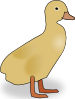 Duckling Clip Art