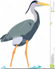 Blue Heron Clipart Image