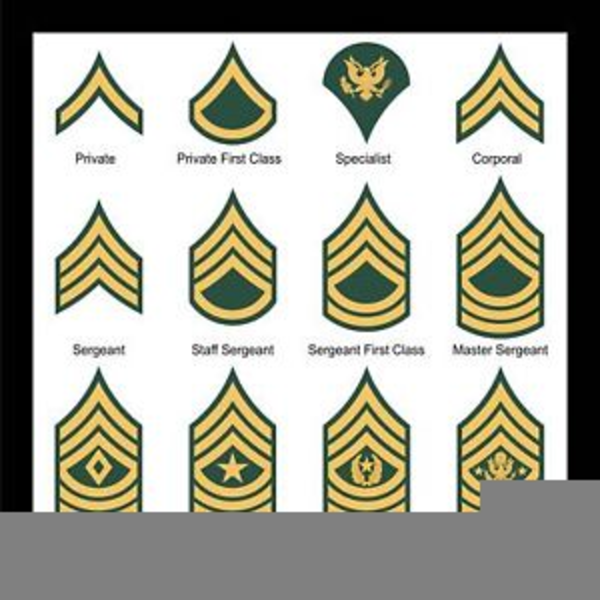 Army Csm Rank Clipart | Free Images at Clker.com - vector clip art