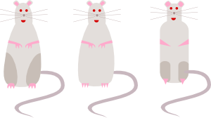 Rat Clip Art