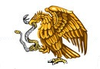 Bird Image