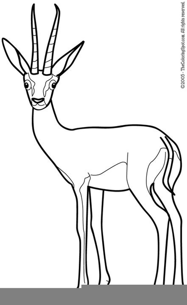 Black And White Animal Clipart For Teachers | Free Images at Clker.com ...