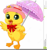 Clipart Duck With Umbrella Image