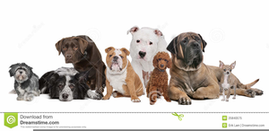 Clipart Of Puppy Image