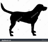 Chesapeake Bay Retriever Clipart Image