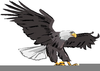 Patriotic Bald Eagle Clipart Image
