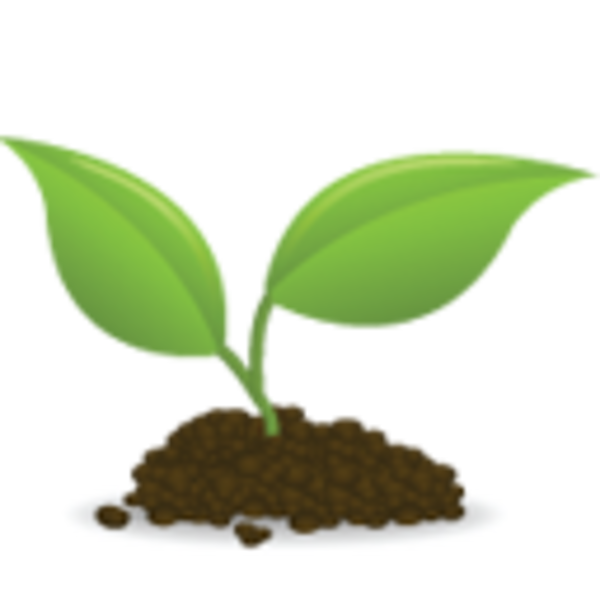 Icon Seedling | Free Images at Clker.com - vector clip art online