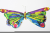 Eric Carle Butterfly Image