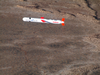 A Tactical  Tomahawk  Block Iv Cruise Missile Image