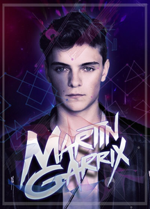 Martin Garrix Image