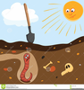 Clipart Of Worms Image