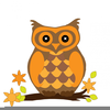 Clipart Owl Eyes Image