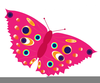 Colorful Butterfly Clipart Image