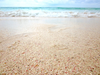 Sand Beach Image