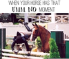 Equestrian Problems Quotes Image