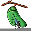 Free Clipart Chrysalis Image